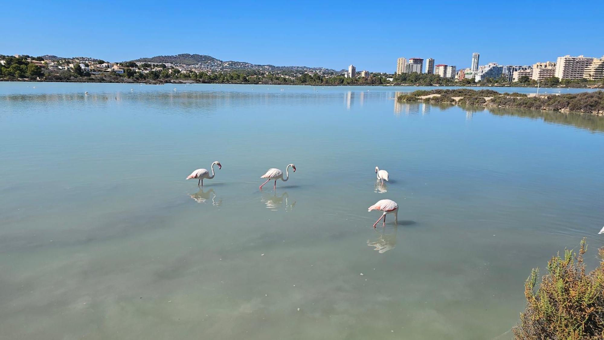 Apartamentos Esmeralda 111B Calpe Ngoại thất bức ảnh